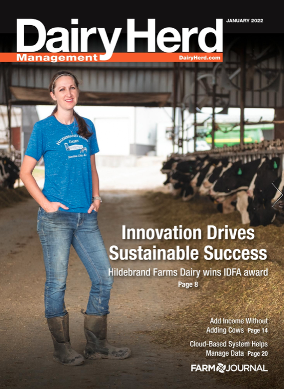 Issue Archive Dairy Herd